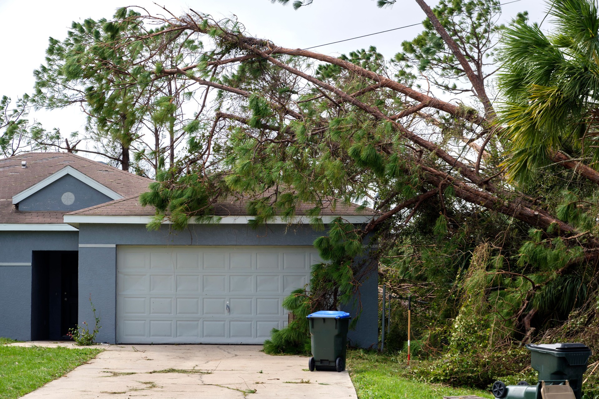 Fallen down big tree on a house after hurricane Ian in Florida. Consequences of natural disaster